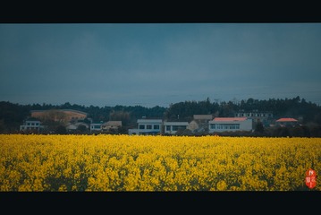 347546