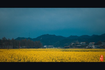 347540