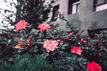 E5341A41-8D04-4547-A88C-AC3EF44CDDC2/L0/001