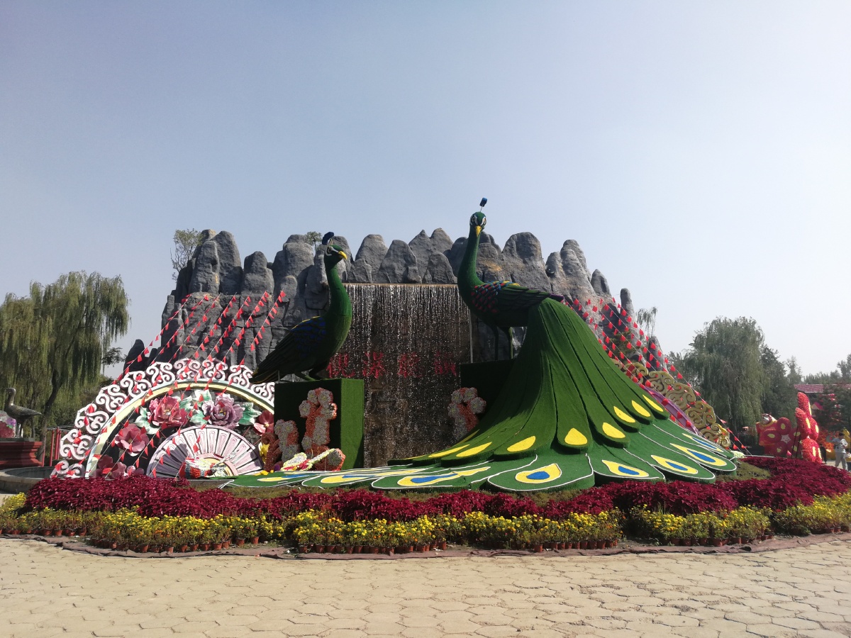 摄于贾家庄生态园