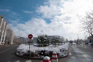 DSC_8477.jpg