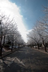 DSC_8481.jpg