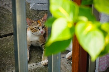 DSC01472-5.jpg