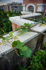 DSC01476-8.jpg