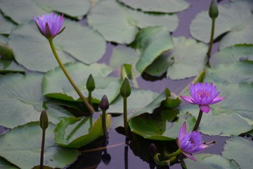 DSC03800-15