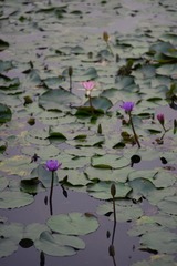 DSC03801-16