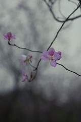 DSC03817-19