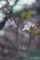 DSC03818-20