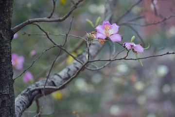 DSC03826-22
