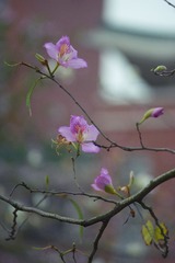 DSC03827-23