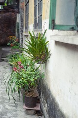 DSC03593-4