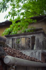 DSC03603-9