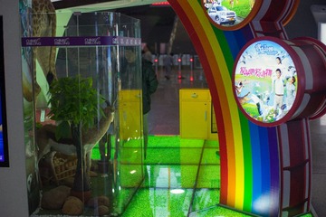 DSC03619-11