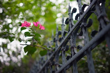 DSC03920-22