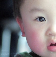IMGP4798 (2).jpg