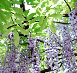 _DSC0759.jpg