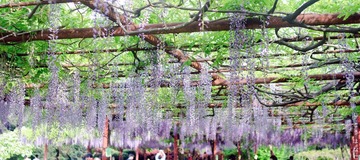 _DSC0772.jpg