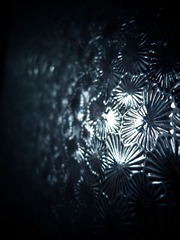 IMG_0442.jpg