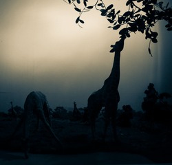IMG_0457.jpg