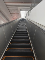 1000269304