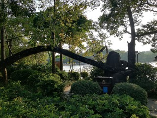 474246