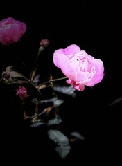 2B14DECC-58B9-42BA-8945-3A8301578293/L0/001