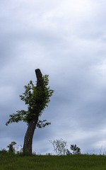 1441630