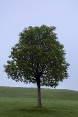 1441502