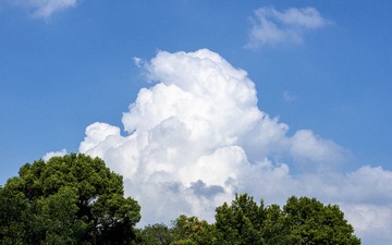 1441687