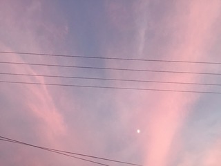 255462DA-D3A7-4D24-91C1-CFFC70C0D537/L0/001