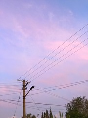 70ED43D8-3BDE-4BC2-976D-2B3D51A44E43/L0/001