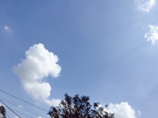 1DFFD23A-2699-4A53-9251-C6620096F1E1/L0/001