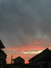 6812AE02-1D79-4234-BA63-B4623870FEFA/L0/001