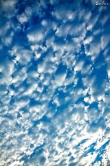 地震云……么。