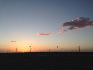 93597B64-DA02-4EDF-AC25-3EDFF2FB7298/L0/001