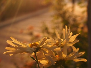 D3666A6E-C1D7-46AA-BF7B-CF1F78891F22/L0/001
