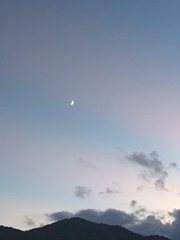 1000009466