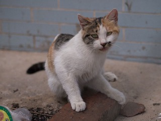 P9050292