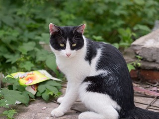 P9050295