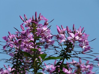 4557D3CF-E247-4AEB-93F6-7C07572E1C8C/L0/001