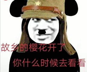 36155