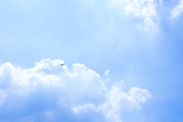 85E88D96-9C52-4423-87BB-C8D8A3FD432A/L0/001
