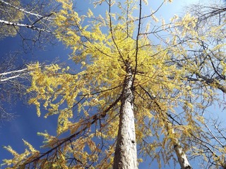 DSCF0301.JPG