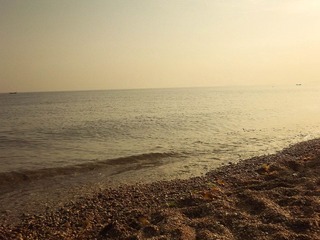DSCF0337-1.jpg