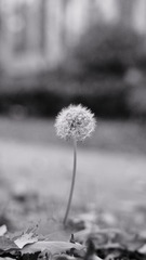 235198B0-795A-4E22-80C1-6BAB2B6B82C3/L0/001