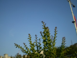 5F1348AE-C892-45C3-AD1D-F72215FD3CD6/L0/001