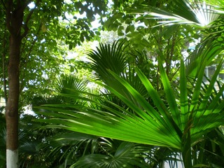 1BD0B22C-F200-4ED2-AB95-AB04BFA23B86/L0/001
