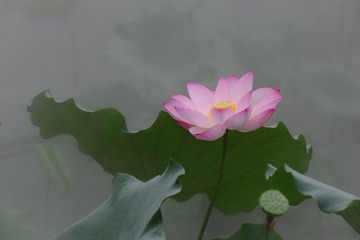 41EDFA98-4F0A-4490-9ED7-AF97E0D2E0E7/L0/001