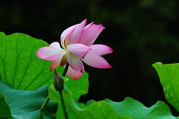 001