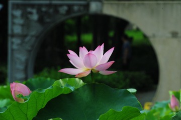 001